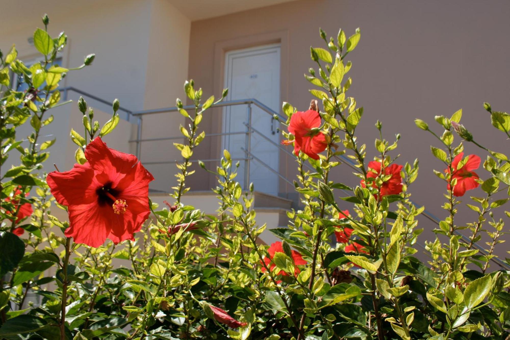 Amaryllis Front Beach Hotel Лардос Экстерьер фото