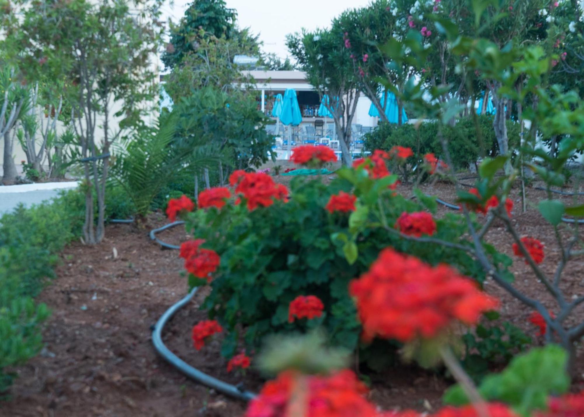 Amaryllis Front Beach Hotel Лардос Экстерьер фото